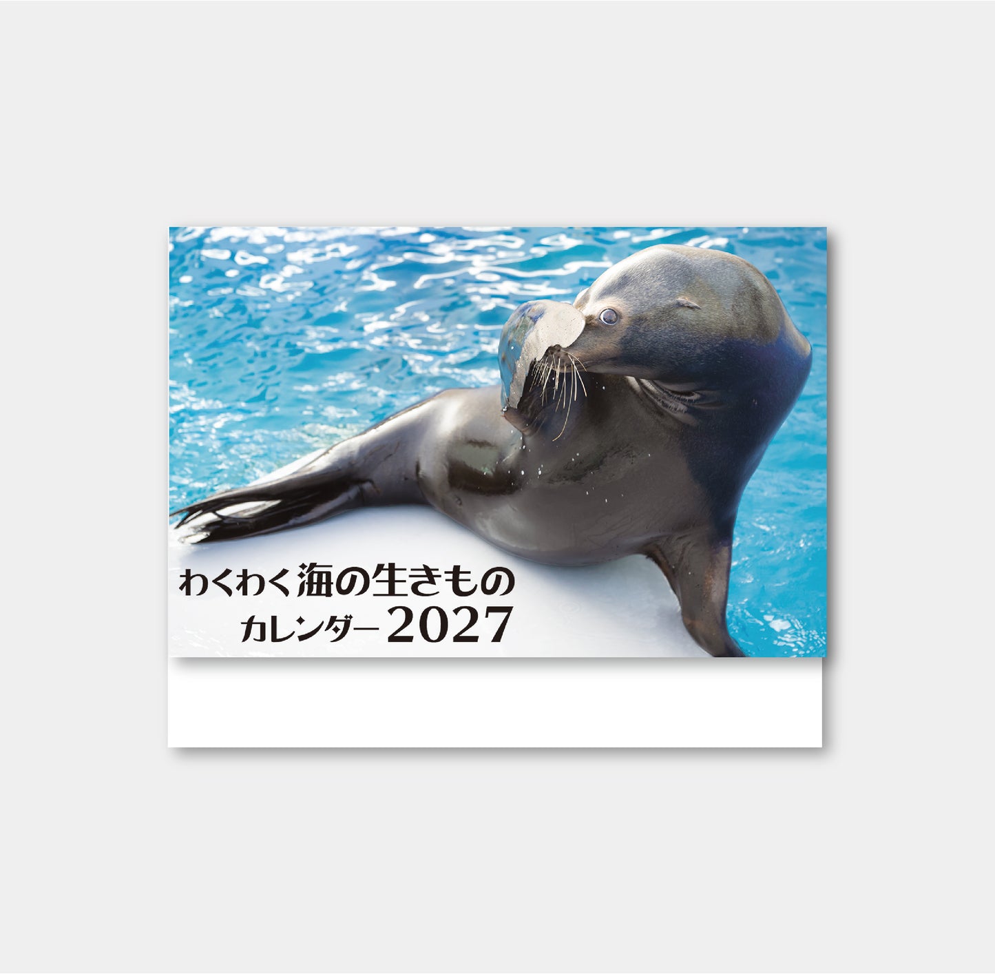 わくわく海の生きものカレンダー