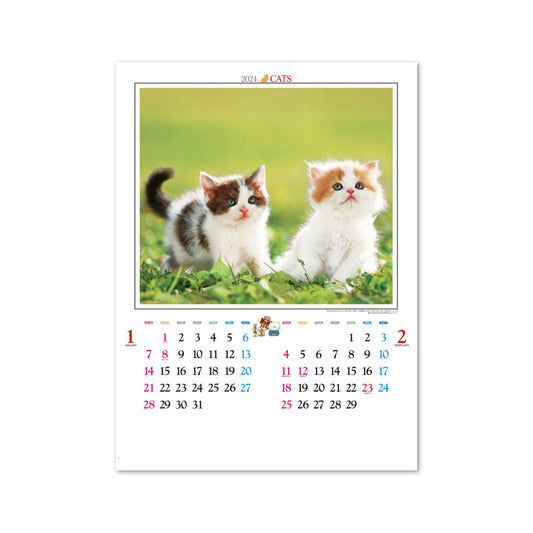 IC-201 かわいい猫
