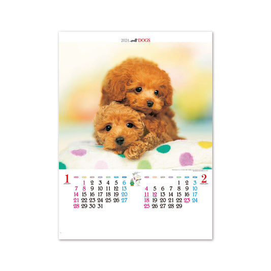 IC-203 かわいい犬